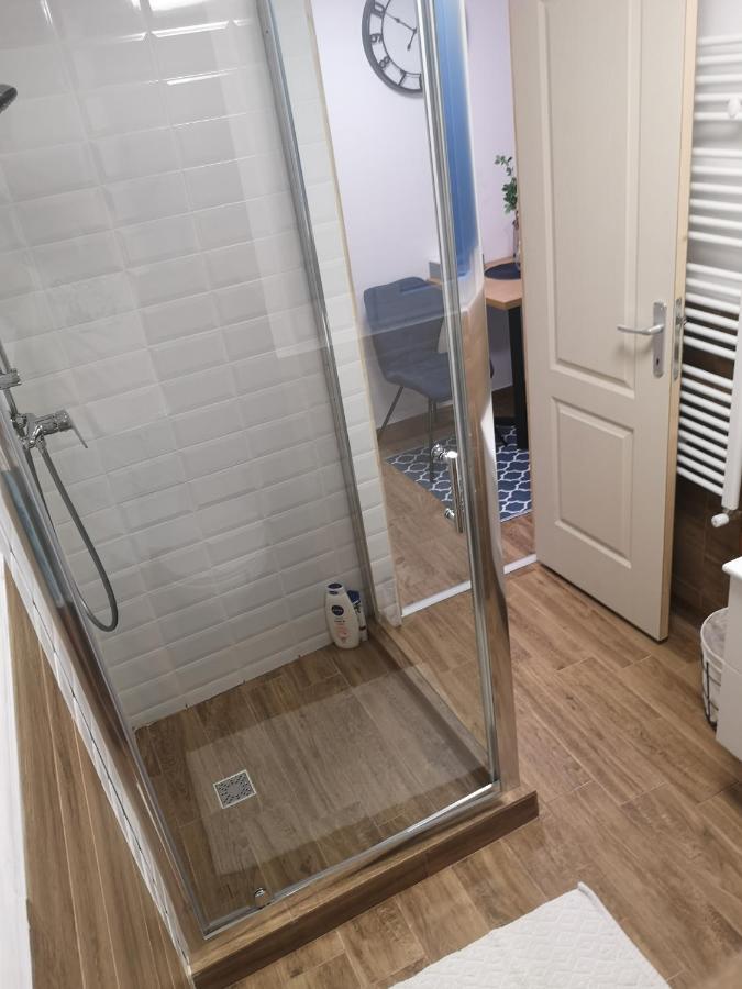 Bulevard Mansards Satu Mare Oda fotoğraf