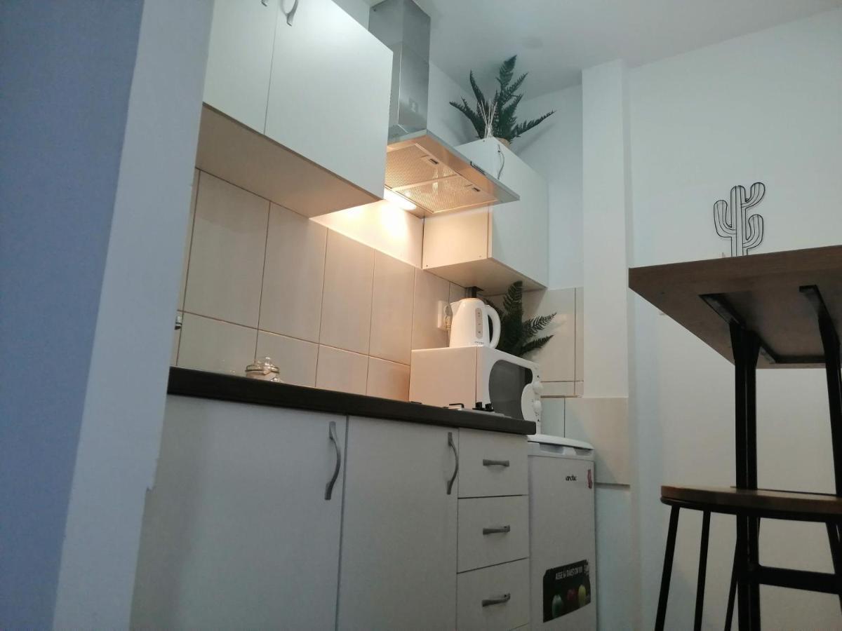 Bulevard Mansards Satu Mare Dış mekan fotoğraf